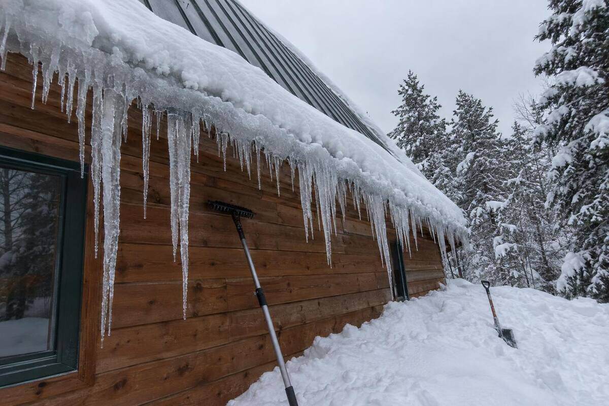 Heavy icicles hanging from the eave of a snow-loaded standing-seam metal roof on a cedar-sided cottage, deep snow on the ground below