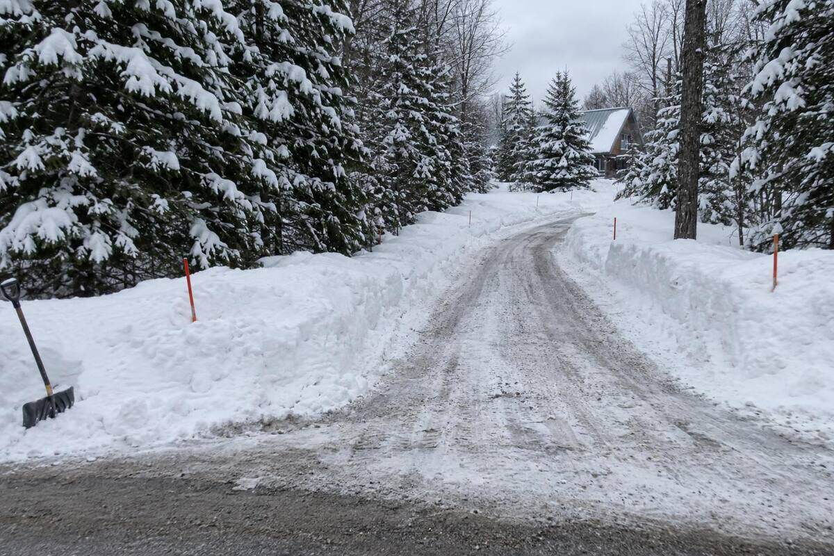 A long plowed gravel driveway curving through snow-laden pines toward a house with a steep metal roof, snow banked high on both sides