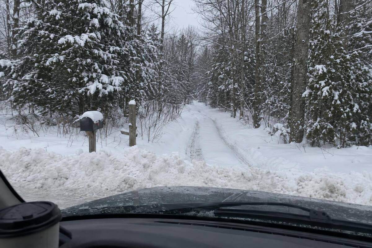 An unplowed two-track road under deep snow between bare hardwoods, a single set of tire ruts fading into the trees